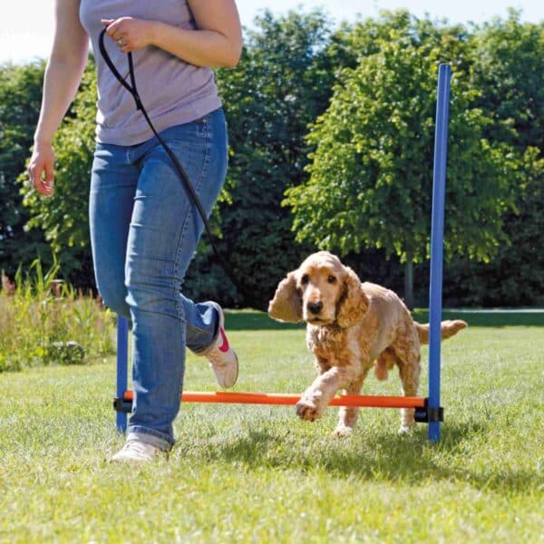 Trixie Agility hund Hurdle Hopphinder